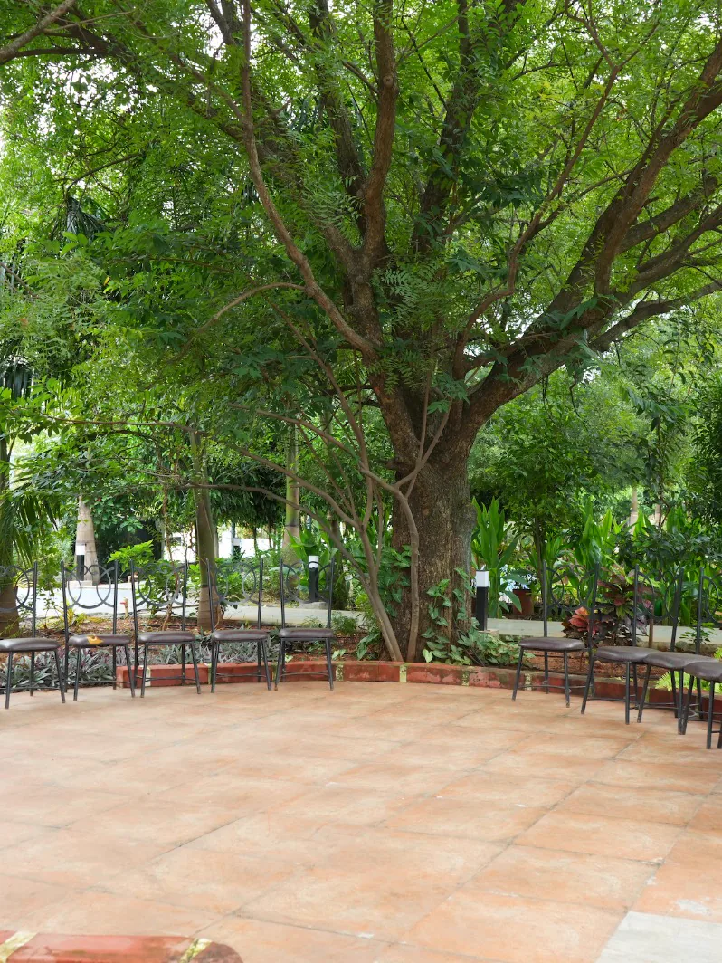 A tiled seating circle with benches under a great shade tree